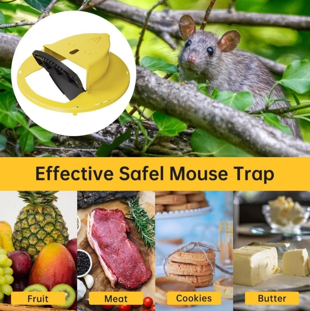 New Mouse Trap, Slip & Slide Mouse Trap Lid, Humane Mouse Trap, Rat Trap, Rodent - Picture 5 of 5